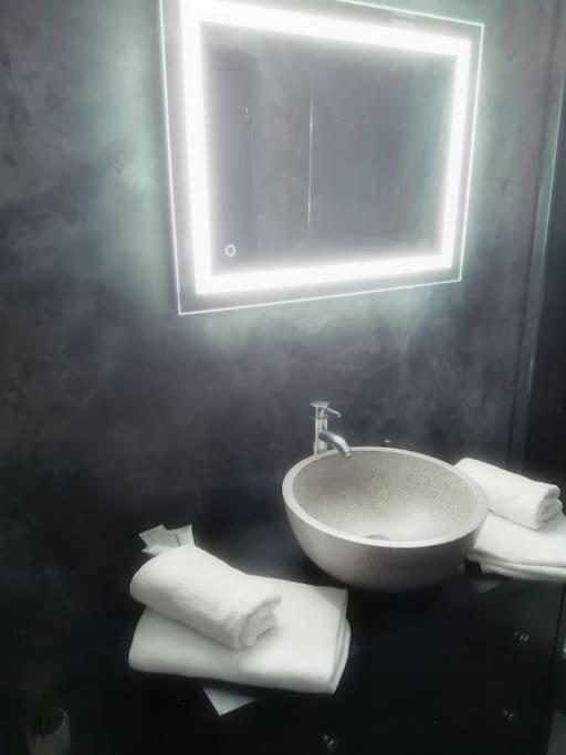 Appartement Avec Sauna Et Balneo Privatifs -Troyes Centre エクステリア 写真