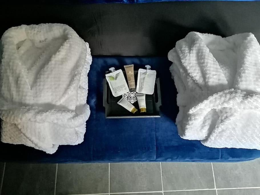 Appartement Avec Sauna Et Balneo Privatifs -Troyes Centre エクステリア 写真